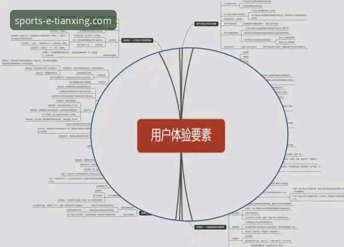 天行体育官网移动用户体验与策略详解
