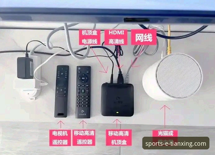 天行体育官网移动用户功能详解与使用指南