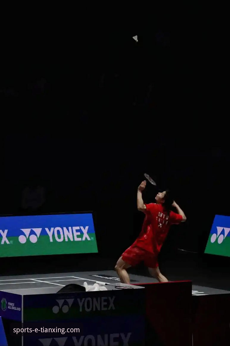 从石宇奇亚锦赛夺冠，看如何通过天行体育官网深度解析一场经典对决